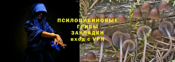 мдпв Нефтекумск