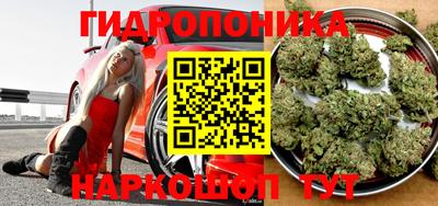 2c-b Гатчина