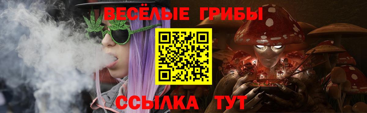 Крымск  Псилоцибиновые грибы Magic Shrooms  Вход с VPN 